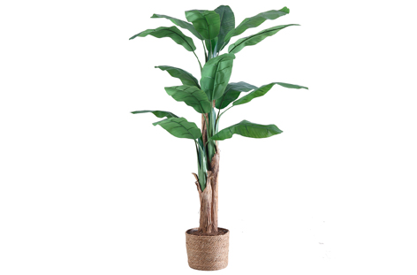 PLANTA ARTIF. BANANERO 180 CM 